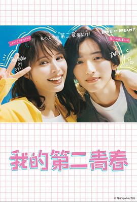 荆门seo优化多少钱